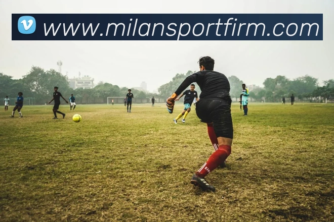 米兰体育平台生态图