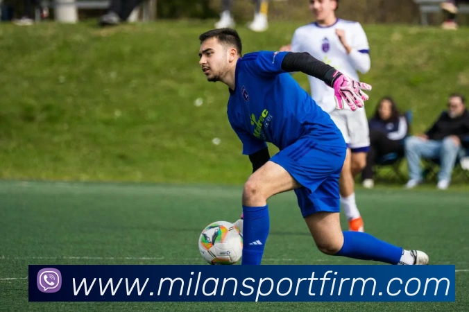 米兰体育APP 封面图